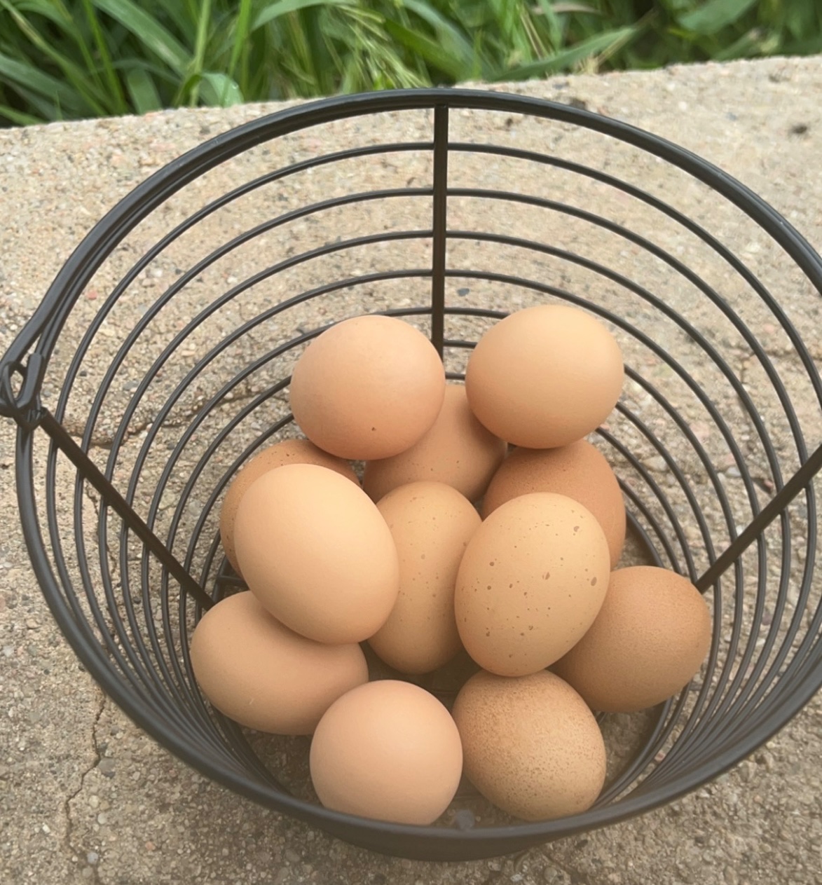 Basket of eggs