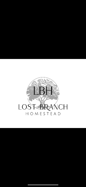 Homestead logo with oak tree background